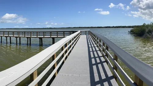 a newly build boardwalk at the florida everglades
