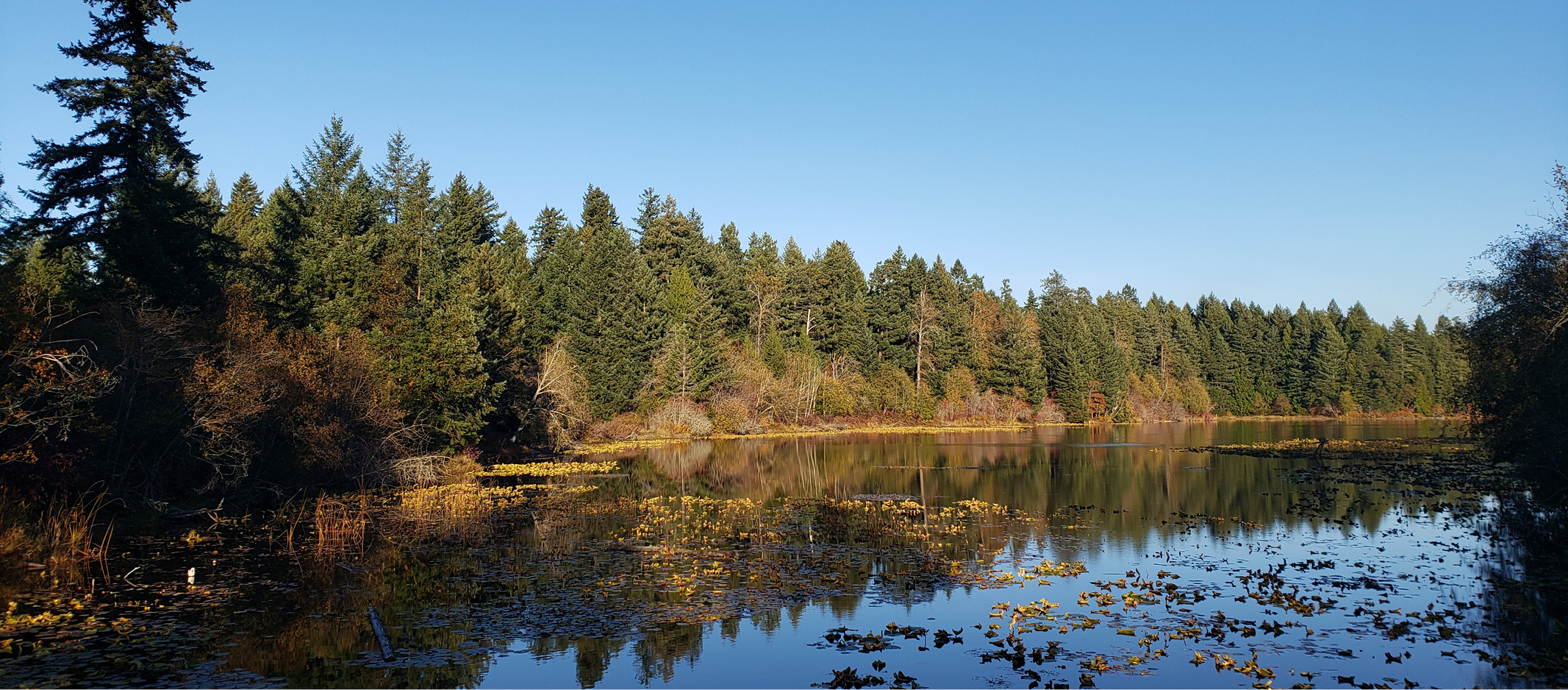 lake sequalitchew